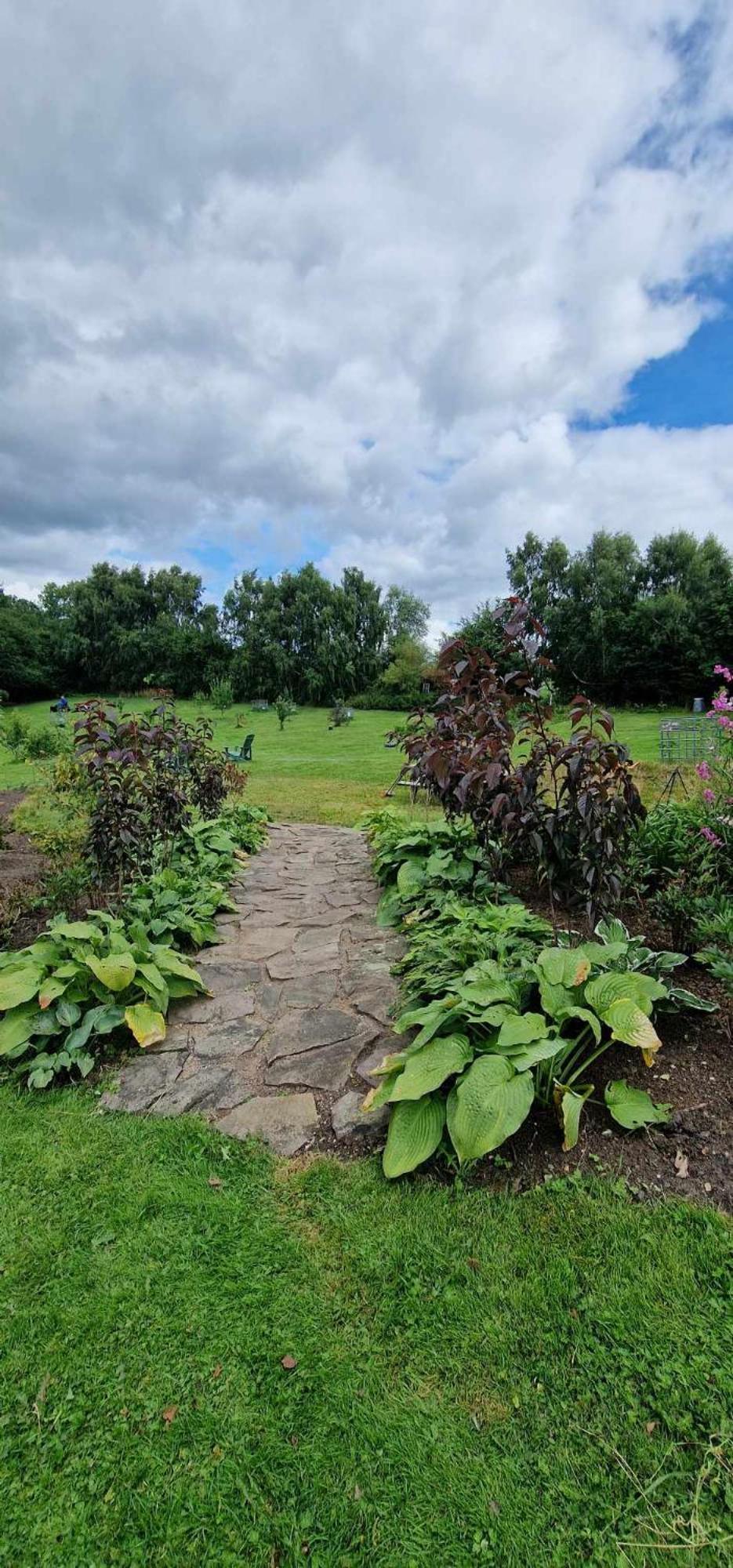 Hos Molsgaarden Bed & Breakfast Knebel ภายนอก รูปภาพ