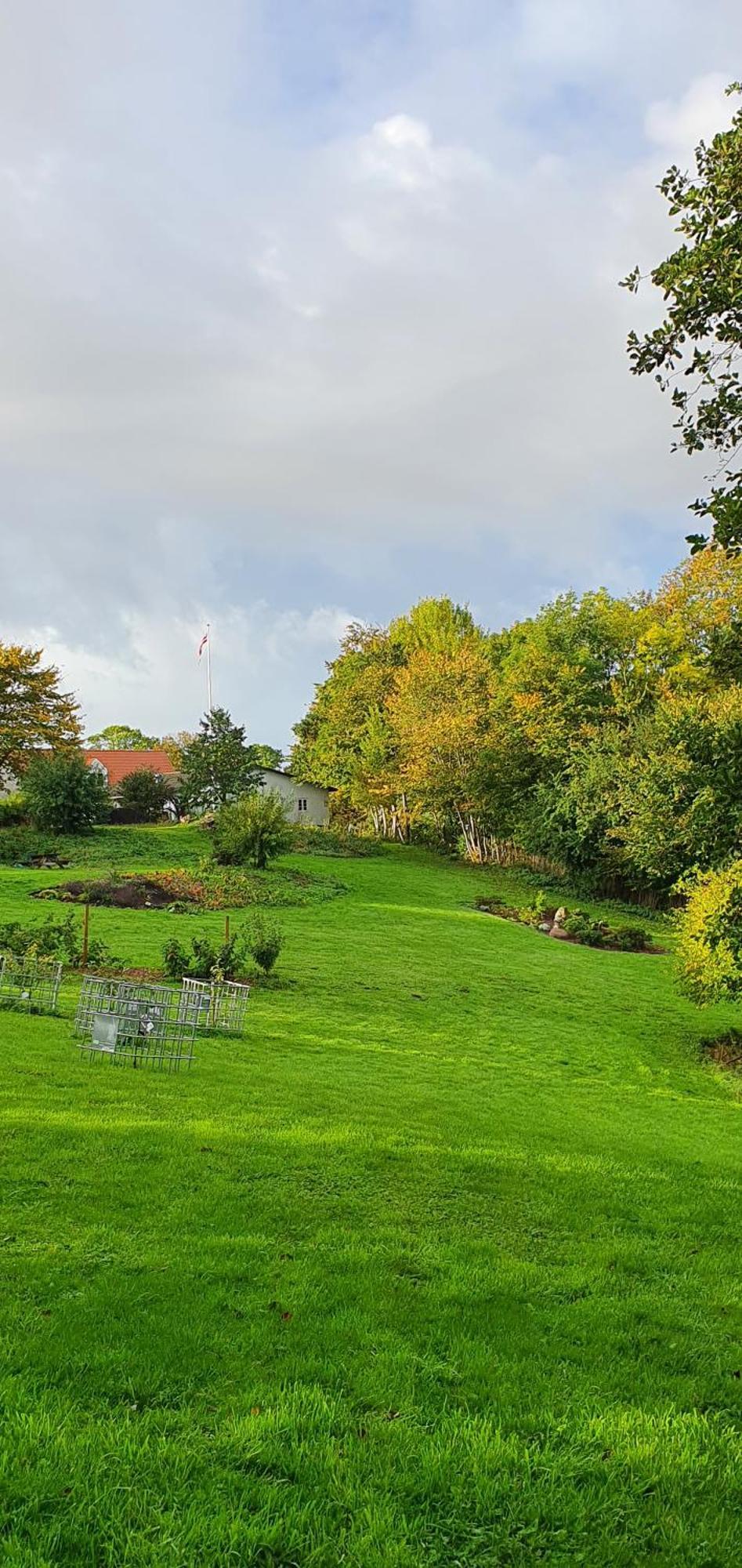 Hos Molsgaarden Bed & Breakfast Knebel ภายนอก รูปภาพ
