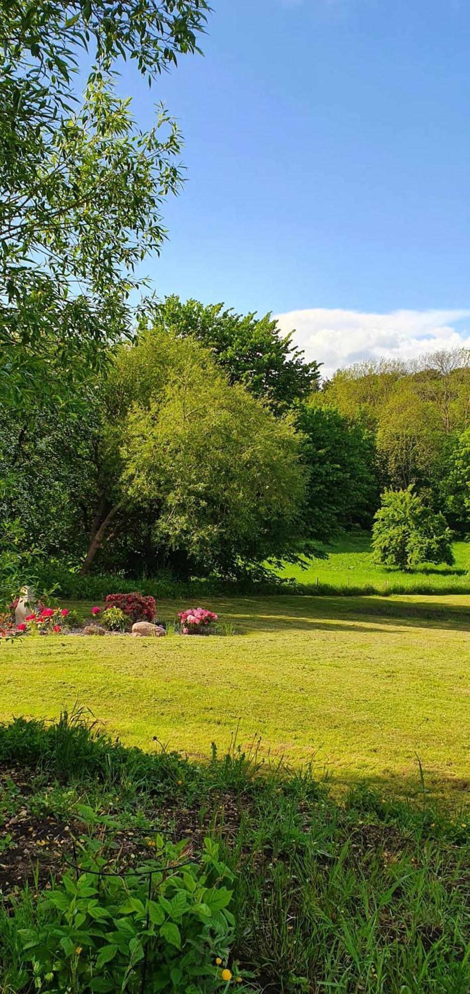 Hos Molsgaarden Bed & Breakfast Knebel ภายนอก รูปภาพ